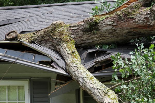 Storm Remediation in Pickerington