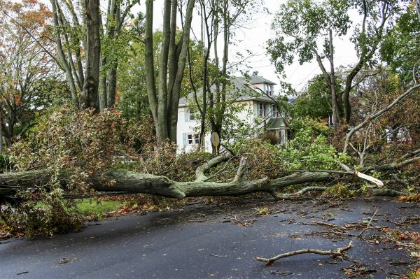 Tornado Damage Repair in Pickerington