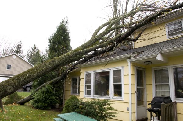 Storm Damage Mitigation in Pickerington