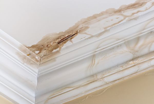 Water Damage Recovery in Pickerington